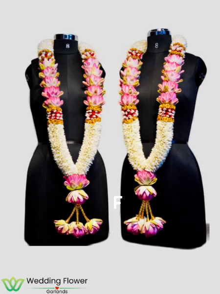 Pelli poola Dandalu for online shopping